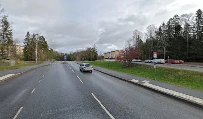 Ronnvagen